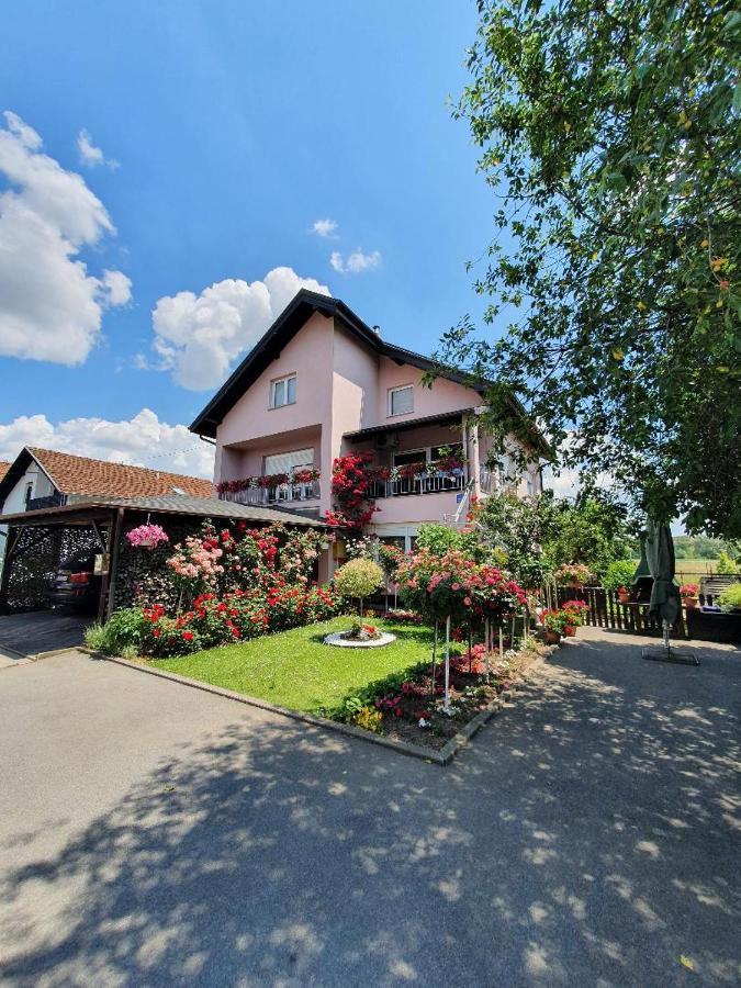 Apartman Vesna Bjelovar Dış mekan fotoğraf